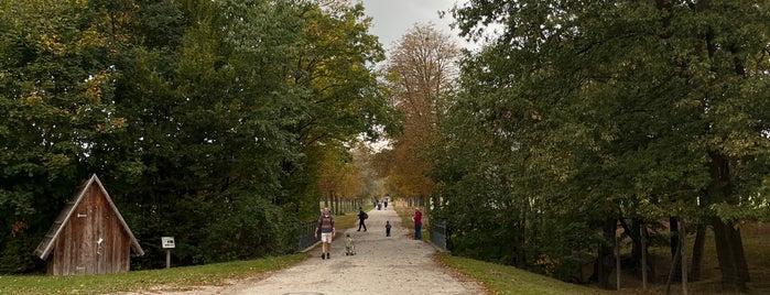 Lainzer Tiergarten is one of Ausflüge.