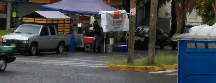 Tacos Gallo is one of Lugares favoritos de Karen 🌻🐌🧡.