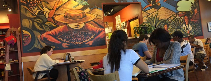 Heine Brothers' Coffee is one of The 15 Best Coffeeshops with WiFi in Louisville.