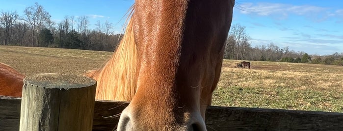 Blackacre State Nature Preserve and Historic Homestead is one of Kentucky.