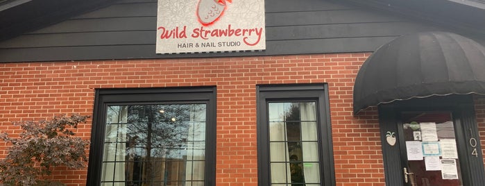 Wild Strawberry is one of Places I loved.