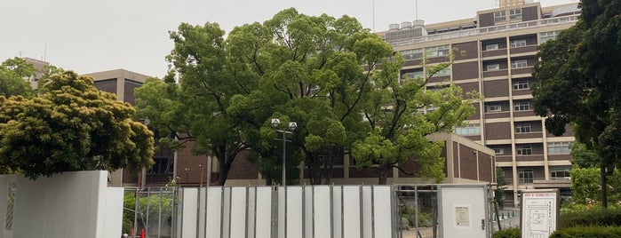 横浜市役所 (横浜市庁舎) is one of closed2.