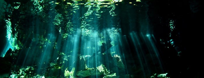 Cenote Dos Ojos is one of Mexico places to visit.