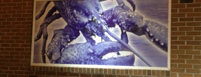 Blue Lobster is one of Lugares favoritos de Ryan.