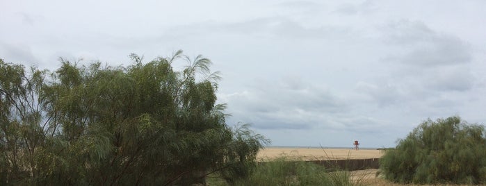 El Paradise Beach is one of Locais curtidos por Álvaro.