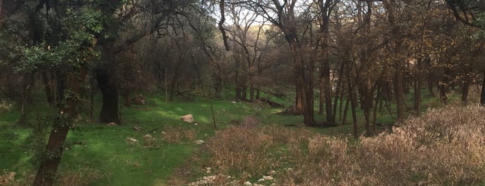 Purgatory Creek Park is one of Places to Run.