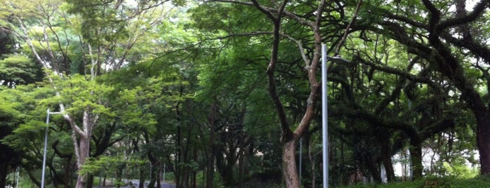 Instituto de Biociências (IB-USP) is one of USP - São Paulo.