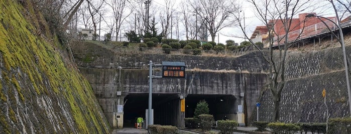 千秋トンネル is one of Shin'in Beğendiği Mekanlar.