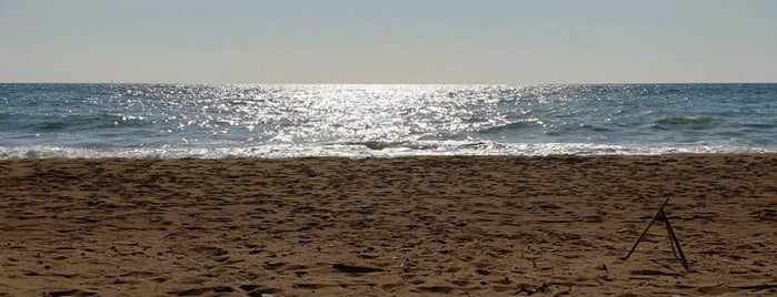 Elaia beach is one of My Summer.