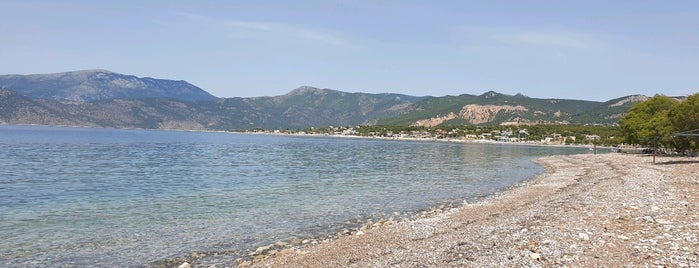 Παραλία Αλεποχωρίου is one of สถานที่ที่ George ถูกใจ.