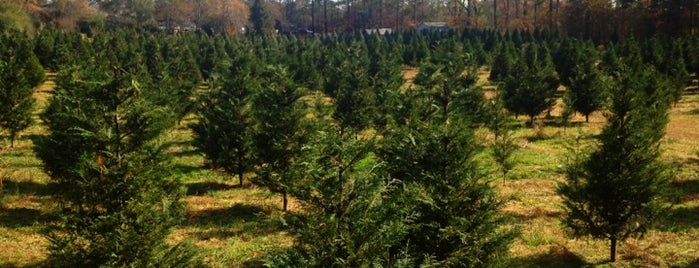 Coker Tree Farm is one of Chesterさんのお気に入りスポット.