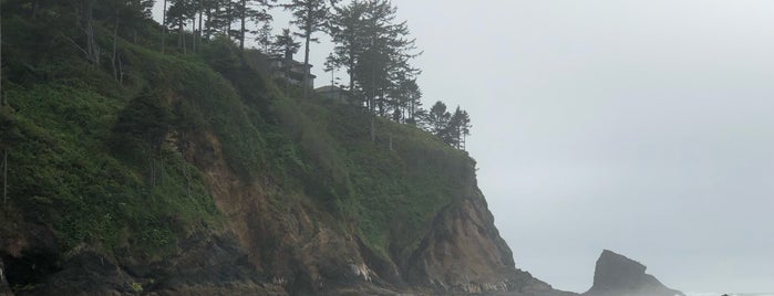 Neskowin Ghost Forest is one of cnelson : понравившиеся места.