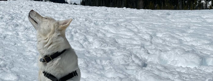 White River Sno-Park is one of Tempat yang Disukai Jim.