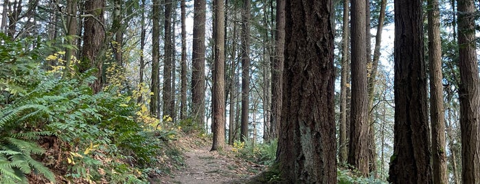 Lower Macleay Trail is one of Portland.