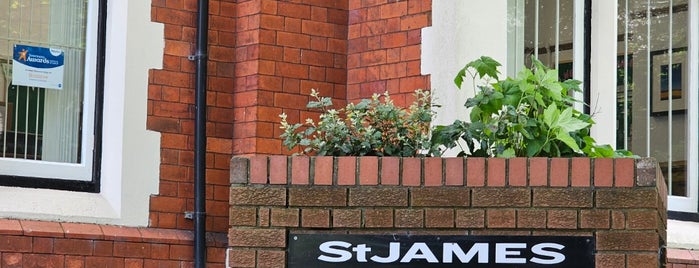 St James Veterinary Group is one of Burns Pet Food Stockists.