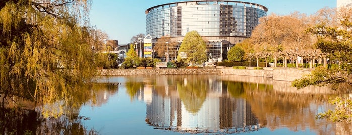 Maritim Hotel is one of Frankfurt.