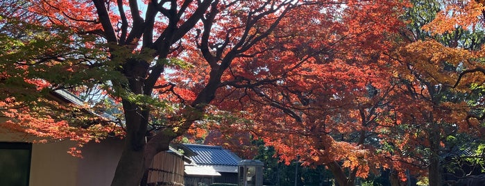 戸定が丘歴史公園 is one of 松戸の歴史スポット.