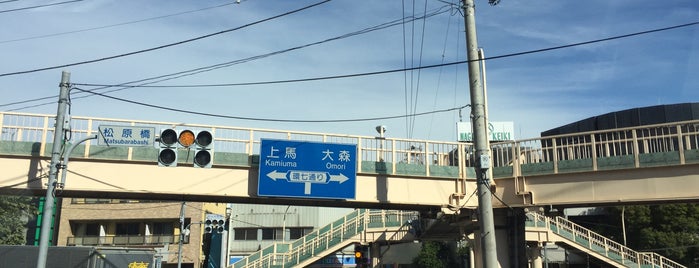 松原橋交差点 (西) is one of Traffic.