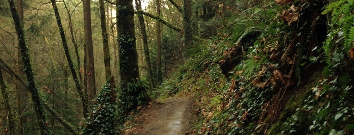 Marquam Nature Park is one of Portland (OR).
