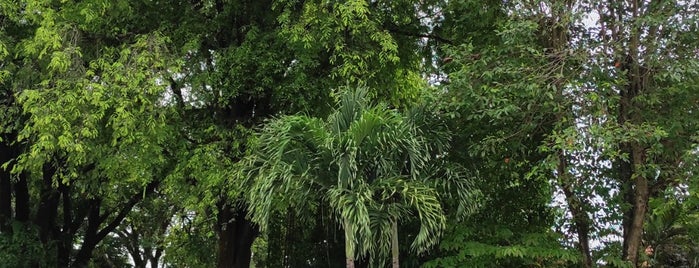 Kraton Ngayogyakarta Hadiningrat is one of สถานที่ที่ Juand ถูกใจ.