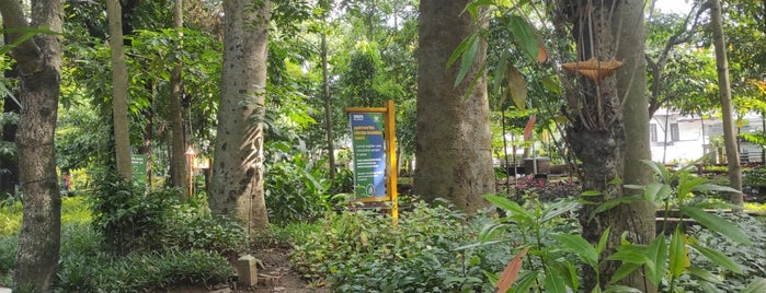 Taman Pustaka Bunga Kandaga Puspa is one of Bandung Thematic Gardens.