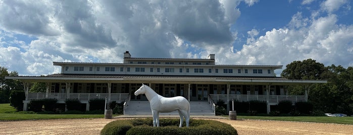 Upper Shirley Winery is one of RVA Musts.