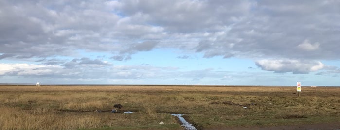 Donna Nook Beach is one of Lieux qui ont plu à Robert.