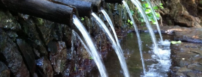 Los Chorros de Epina is one of Islas Canarias: La Gomera.