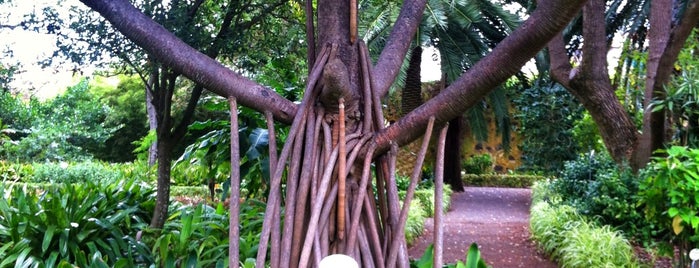 Jardín Botánico is one of Islas Canarias: Tenerife.