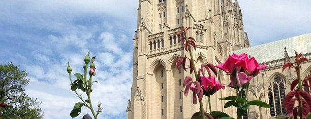 Washington National Cathedral is one of Washington D.C.