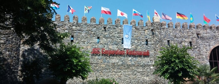 JSC Corporation Kindzmarauli is one of Грузия.