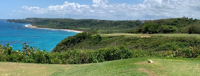 Royal Isabela Private Golf  Club is one of Golf.