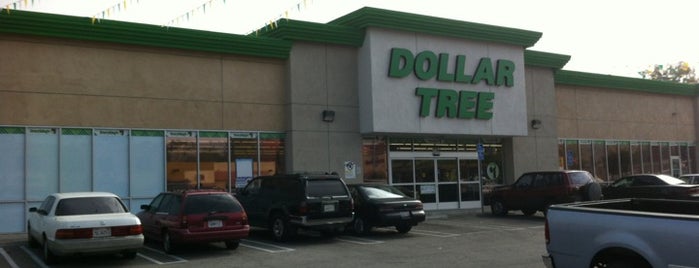 Dollar Tree is one of Velma’s Liked Places.