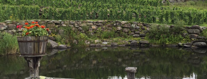 Vignoble Château Ste-Agnès is one of Lugares guardados de JulienF.