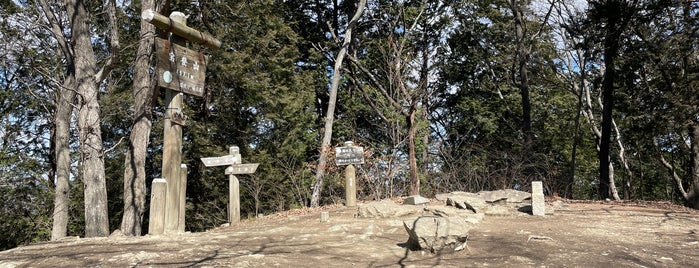 宝登山頂上 is one of 日本の🗻ちゃん(⌒▽⌒).