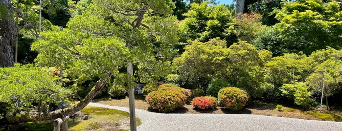 曼殊院門跡 is one of สถานที่ที่บันทึกไว้ของ Dan.