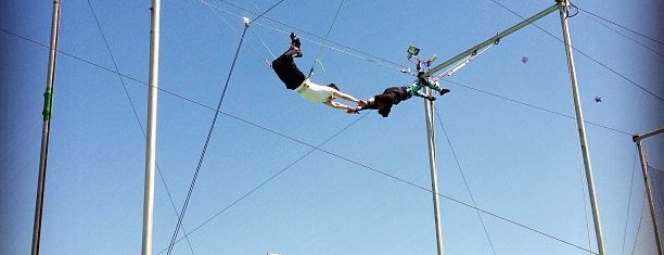 Trapeze School New York is one of Waldo NYC: New York City for Teens.