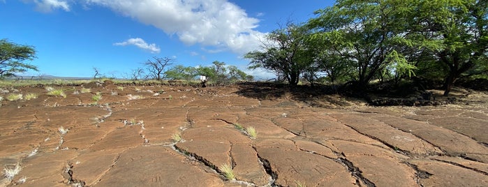 Petroglyph Park is one of Hawaii Oka Island.