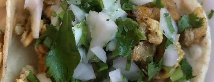 Rosarito Fresh Mexican Grill is one of Lugares favoritos de Tina.