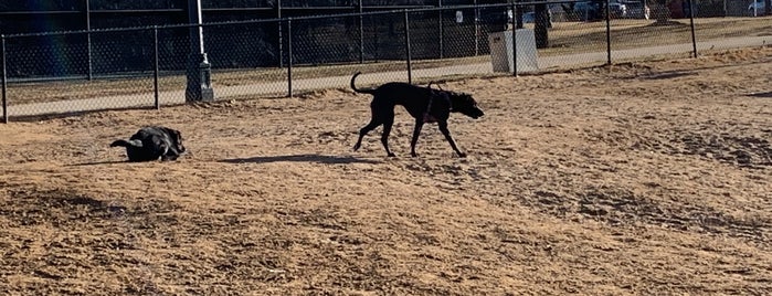 Digstown Doggie Daycare & Spaw is one of Stapleton Furry Friends.