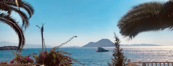Sianji Wellbeing Resort Venüs Villaları is one of Özdenさんのお気に入りスポット.