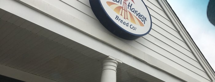 Great Harvest Bread Co. is one of Locais curtidos por Brady.