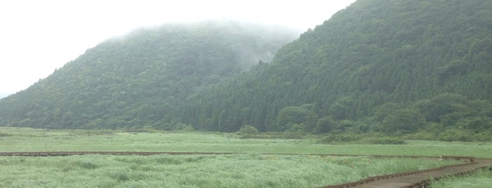 タデ原湿原 is one of くじゅう連山.