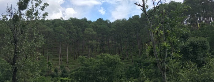 Almora is one of Tempat yang Disukai Swen.