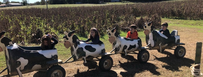 Country Days Corn Maze is one of Favorite Great Outdoors.