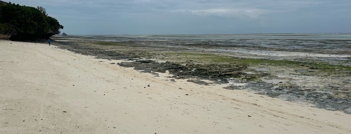 Gabi Beach is one of Zanzibar.