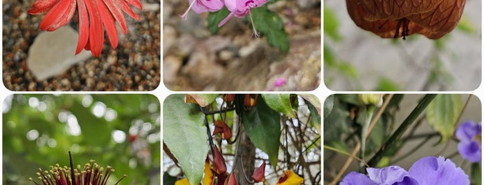 Gewächshäuser des Botanischen Gartens Graz is one of 111 Orte die man in Graz gesehen haben muss.