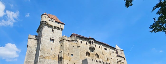 Burg Liechtenstein is one of different and not important.