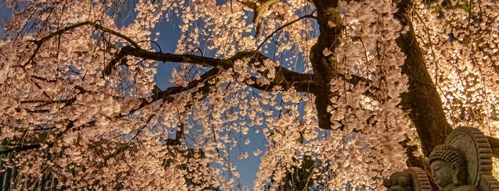 寶幢寺 is one of 埼玉県_志木市.