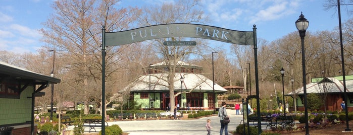 Pullen Park is one of Raleigh Favorites II.